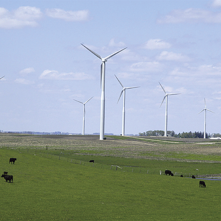 Hancock County wind farm in Iowa, near Greenfield Nitrogen's HQ in Garner City. 