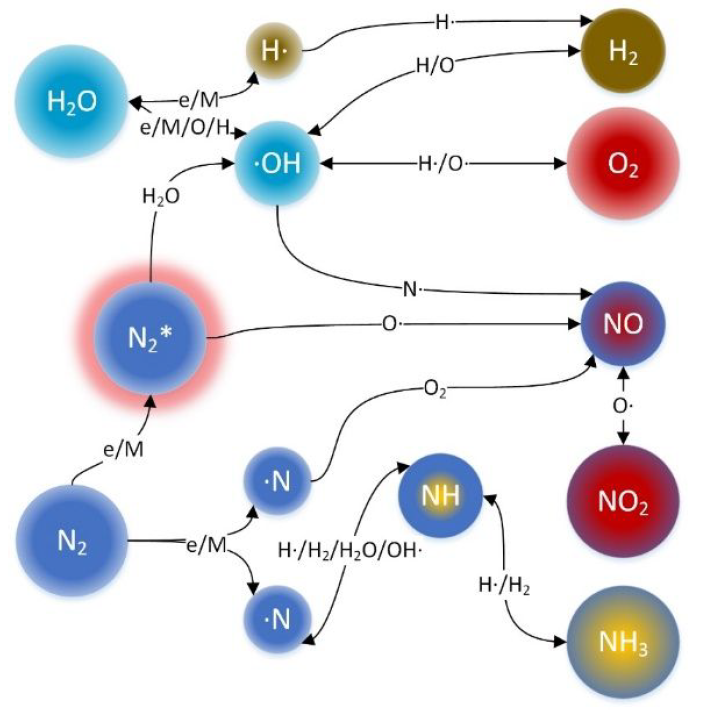 Possible pathways for the formation of species, from Ripepi et al., "Plasma Catalyst-Integrated System for Ammonia Production from H2O and N2 at Atmospheric Pressure", ACS Energy Letters, Aug 2021.