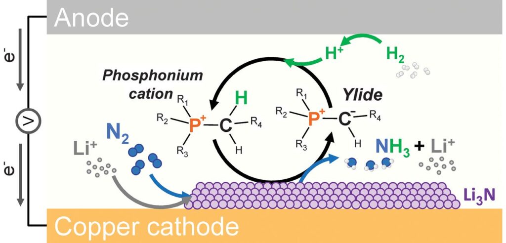 Proton shuttling to enhance Li-mediated electrochemical nitrogen reduction to ammonia. From Suryanto et al., “Nitrogen reduction to ammonia at high efficiency and rates based on a phosphonium proton shuttle”, Science (June 2021).