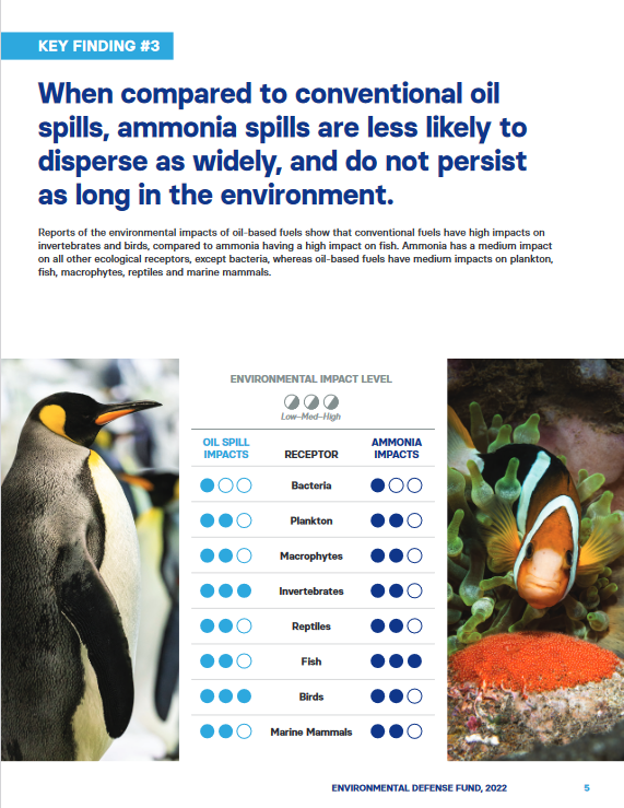Summary of environmental impacts of ammonia fuel versus conventional fuels. From Ammonia at Sea (Summary Report) (Ricardo, EDF and LR, Nov 2022).