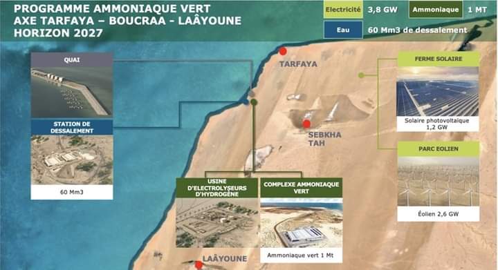 Plans for the new, multi-million tonne renewable ammonia production facility in southern Morocco, presented last December as part of OCP’s new green investment plan. Source: OCP Group/Morocco Telegraph.