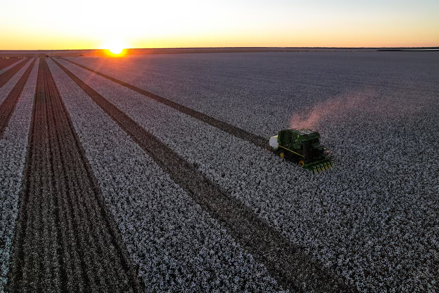 The Good Earth Green Hydrogen and Ammonia Project (GEGHA) will support cotton farming near Moree in New South Wales, Australia. Source: Hiringa.